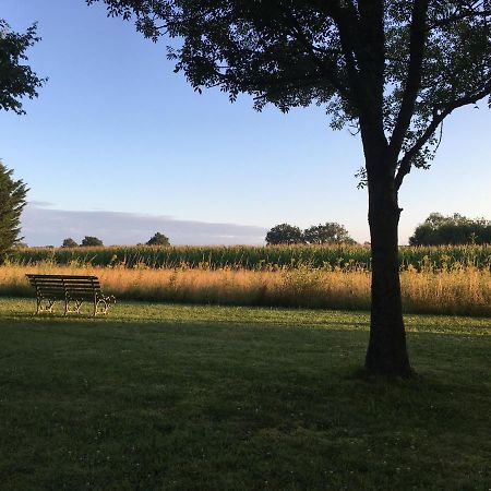 La Veillonnais Bed & Breakfast Angrie Bagian luar foto