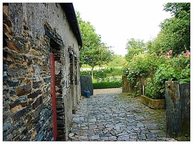 La Veillonnais Bed & Breakfast Angrie Bagian luar foto