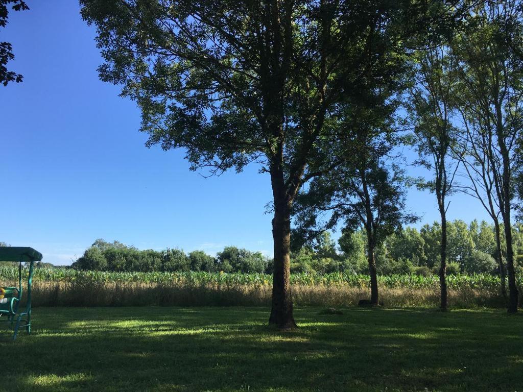 La Veillonnais Bed & Breakfast Angrie Bagian luar foto